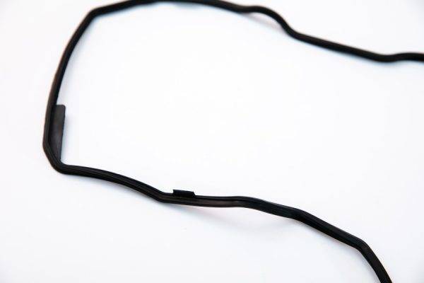 Engine oil pan gasket