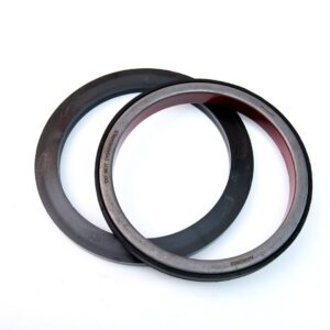 Hydraulic cylinder seal