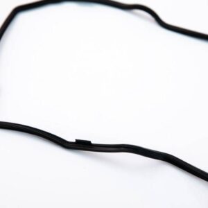 Engine oil pan gasket